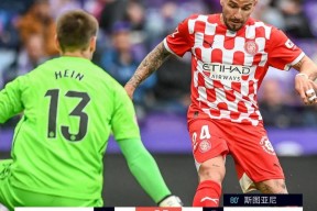 爱游戏-德罗巴意外战胜塞尔维亚队，险胜引爆全场！