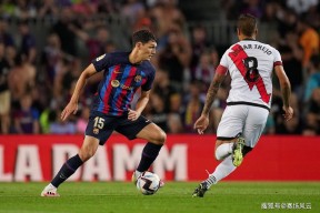 爱游戏体育-莱万多夫斯基爆冷击败TES，绝杀引爆全场！的简单介绍